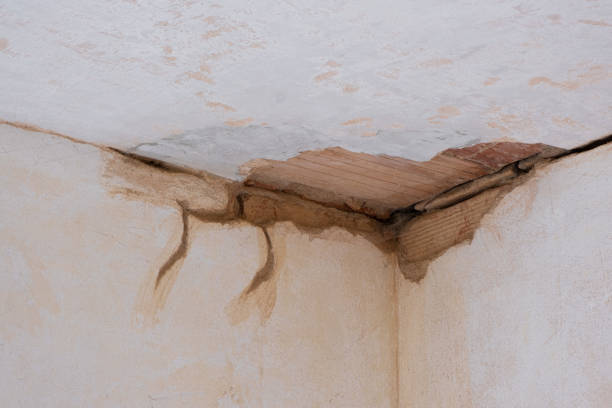 Best Professional water damage repair  in Lakehurst, NJ