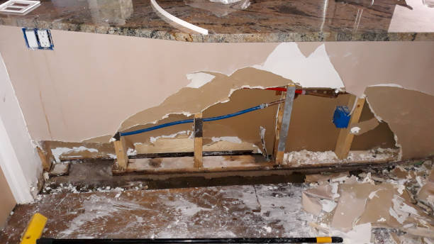 Best Water damage restoration specialists  in Lakehurst, NJ