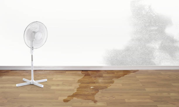 Best Basement water damage restoration  in Lakehurst, NJ