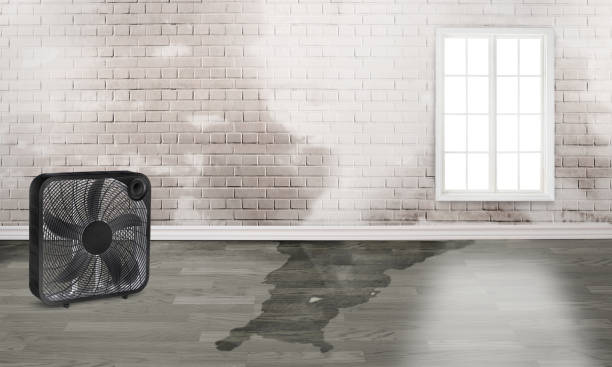Best Commercial water damage restoration  in Lakehurst, NJ