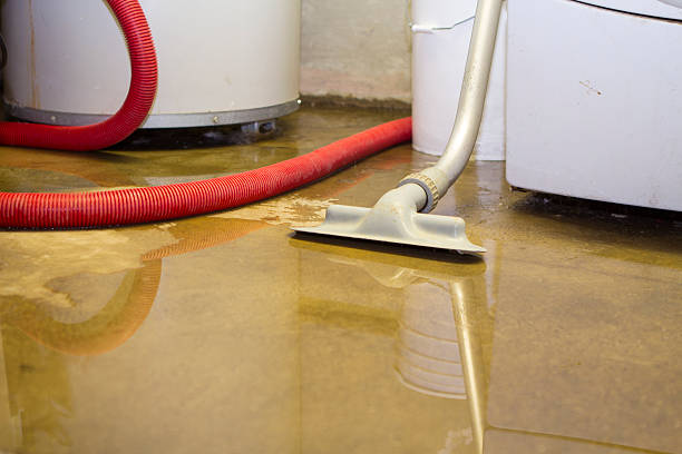 Best Water damage contractors near me  in Lakehurst, NJ