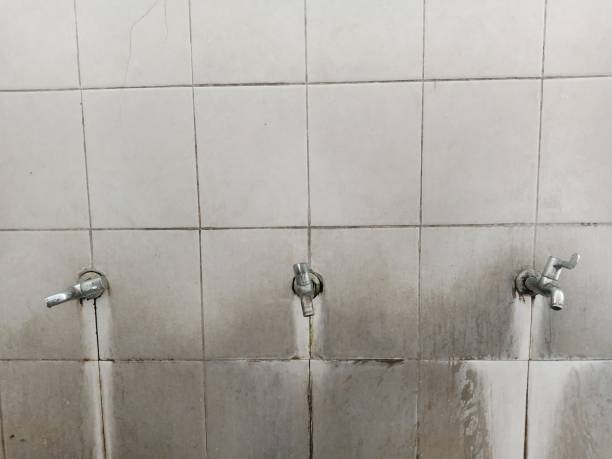Best Water damage restoration experts  in Lakehurst, NJ