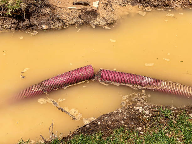 Best Sewage cleanup and water damage restoration  in Lakehurst, NJ