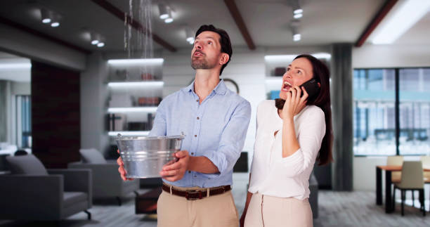 Best Mold removal after water damage  in Lakehurst, NJ